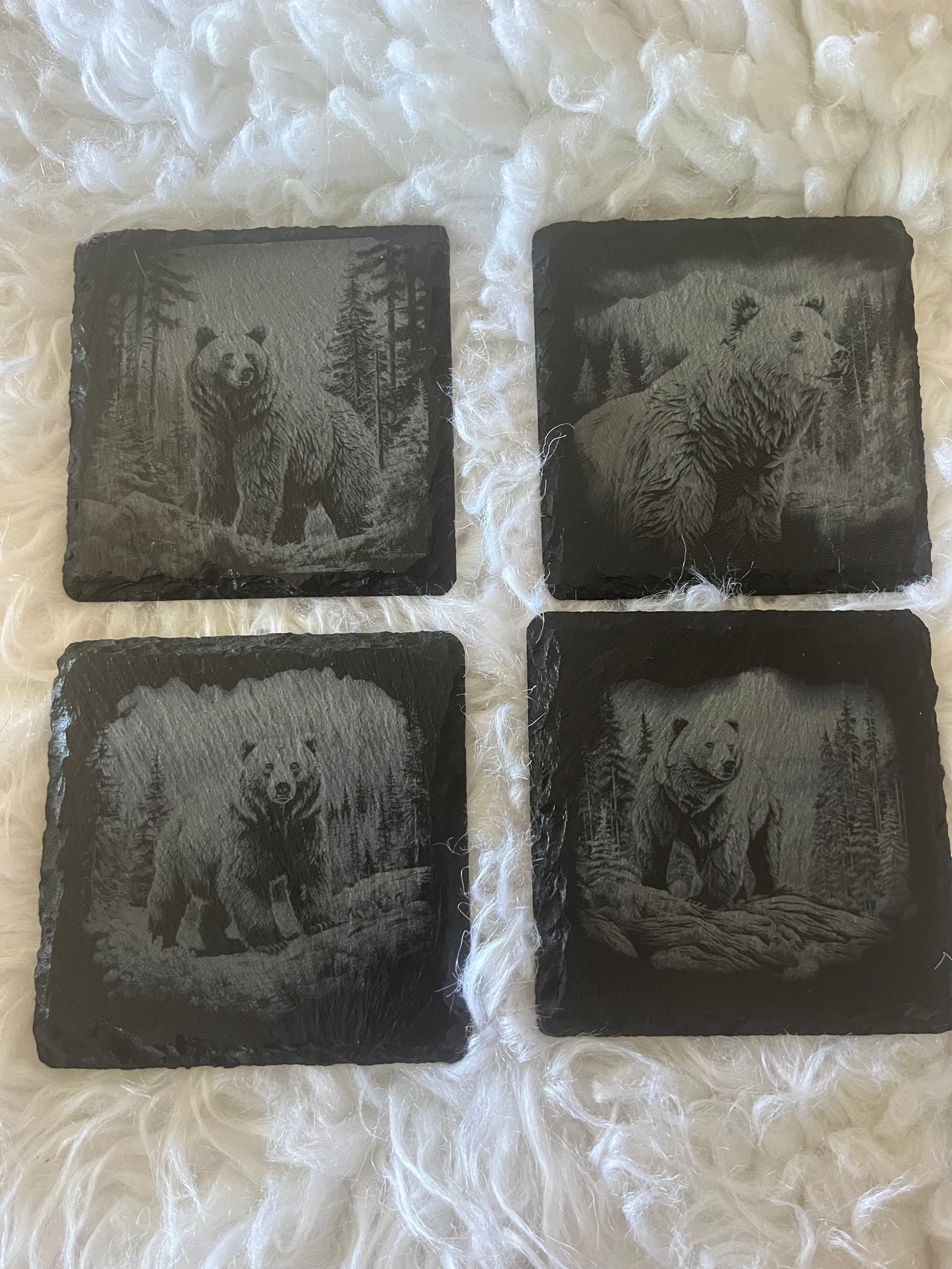 Grizzly bear coasters