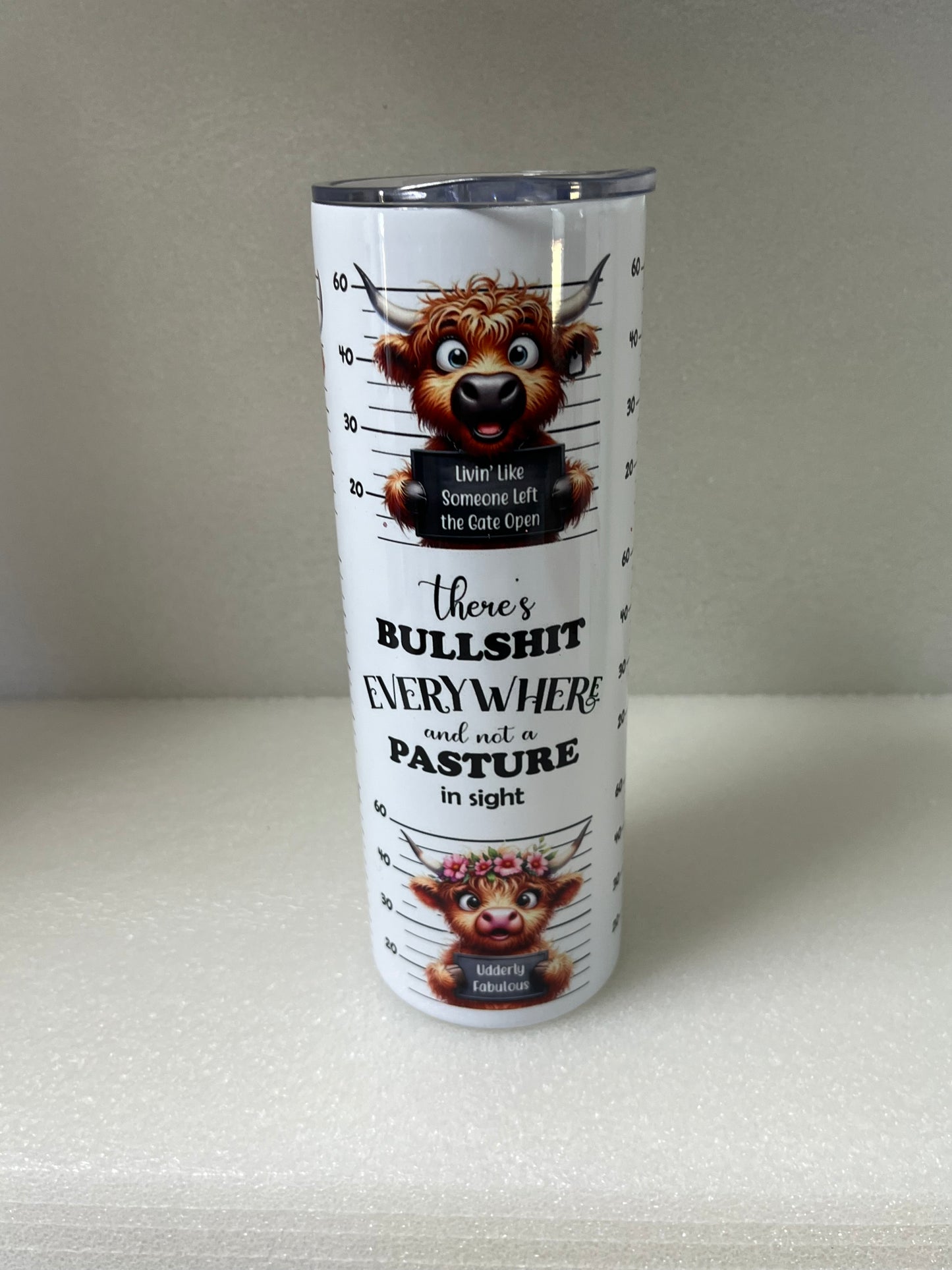 Highland Cow Pasture